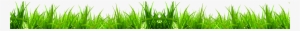 15 Wheat Grass Png For Free Download On Mbtskoudsalg - Fresh Grass Png