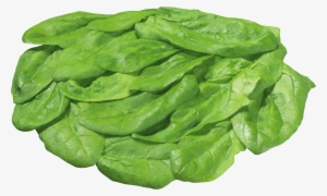 Green Salad Png Image - Piece Of Lettuce Transparent