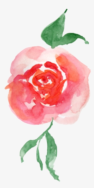 Watercolour