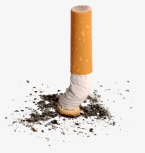 Smoke Smoking Cigarette Png Ash Nicotine Transparent - Cigarette Butts Transparent Background