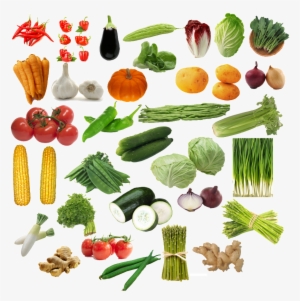 This Graphics Is All Kinds Of Fruits And Vegetables - Vegetable