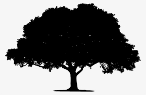 Oak Clipart Tree Silhouette ~ Frames ~ Illustrations - Oak Tree Silhouette Png