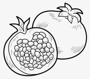 Pomegranate Drawing At Getdrawings - Colouring Pictures Of Pomegranate