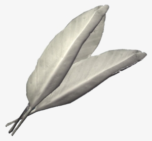 Felsaad Tern Feathers - Skyrim Felsaad Tern Feathers