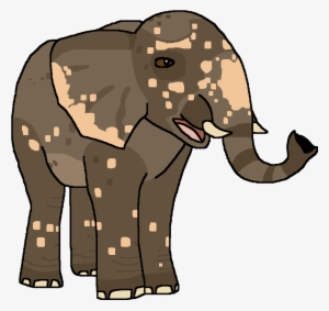 Indian Elephant - Wiki