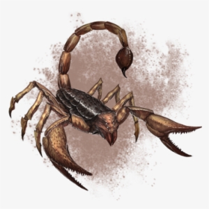 Giant Scorpion - Jpeg