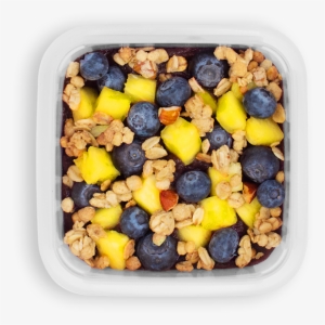 Protein - Blueberry