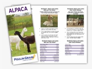 Download Product Brochure - Llama