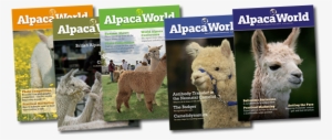 Alpaca World Magazine