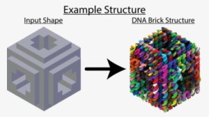 Using Legogen To Build Dna Brick Structures - Diagram