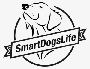 How To Make Your Dogs Life Better And Owners Life Easier - Dog