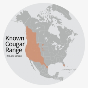 Known Cougar Range - Map Of Cougars In North America