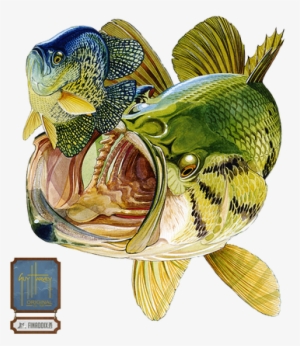 Bass And Bluegill - Guy Harvey Bass Painting
