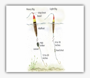 Walleye Slip Bobber Madness - Fish Hook
