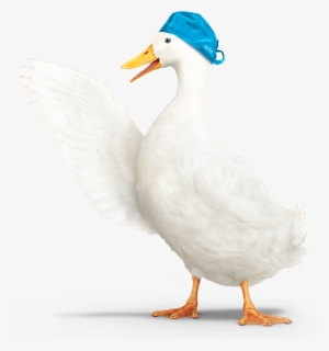 Hospital Confinement Indemnity Insurance - Aflac Duck Animated Gif