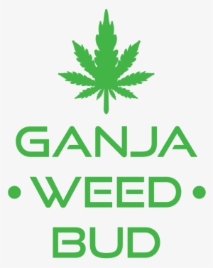 Ganja Weed Bud - Shanghai Wellmax Lighting Industry Co Ltd