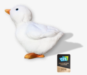 My Special Aflac Duck Won This Year's Ces 2018 Innovation - My Special Aflac Duck