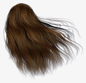 Image - Back Of Hair Png Transparent PNG - 600x521 - Free Download on  NicePNG