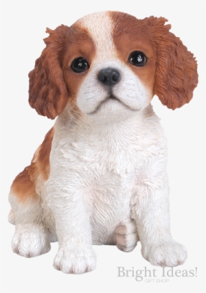 King Charles Puppy Dog Vivid Arts Pet Pals Brown - Cavalier King Charles Spaniel