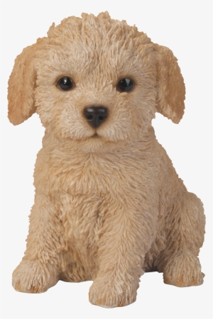 Natures Gallery Labradoodle Puppy Statue - 83497