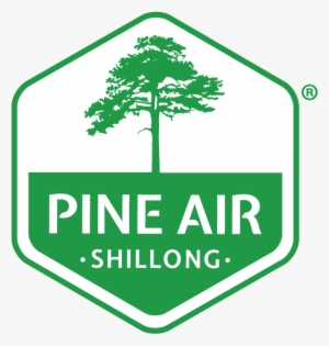 Logo Logo Logo Logo - Pine Air
