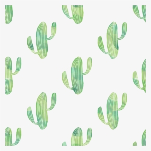 Cactus Background - Free Digital Paper Cactus