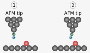 Afm Tip With Co-functionalization - Graphic Design