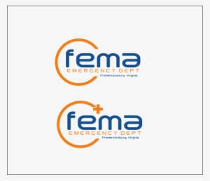 It Company Logo Design For Fema In United States - Graphic Design