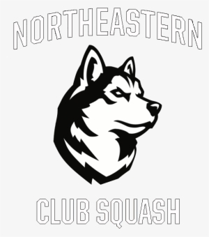 Nu Squash - Northeastern Husky Logo