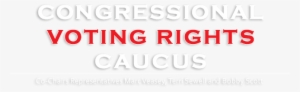 Voting Rights Caucus - Voting