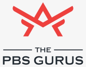 The Pbs Gurus - Poster