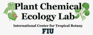 Plant Chemical Ecology At Fiu - Parallel