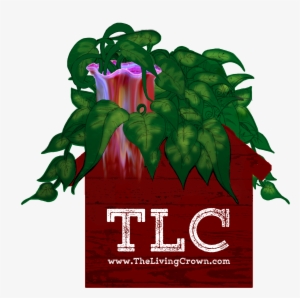 Tlc Logo - Logo