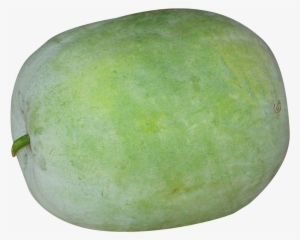 giant winter melon png image - winter melon png