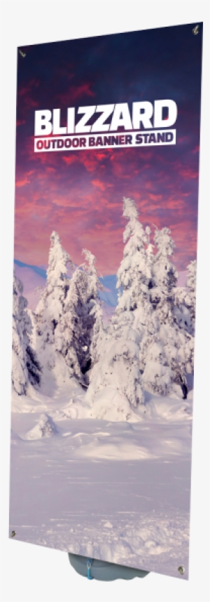 More Views - Banner