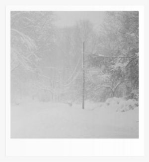 Picture - Snow