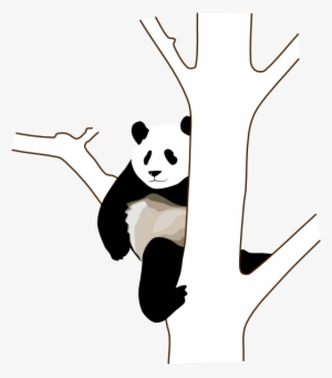 Http Bestclipartblog Com Pics Panda Clip Art - Panda Clip Art