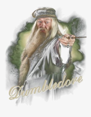 Harry Potter Dumbledore Wand Pullover Hoodie - Harry Potter