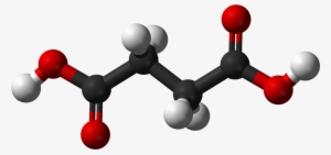 File - Succinic Ac - Molecular Structure Of Fumaric Acid
