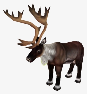 Download Zip Archive - Zoo Tycoon 2 Caribou