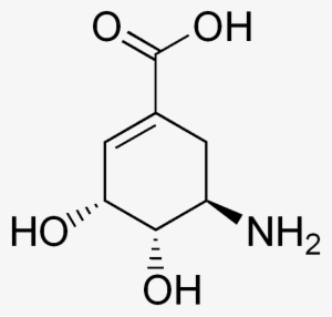 Aminoshikimic Acid - 3 Cyclohexenecarboxylic Acid