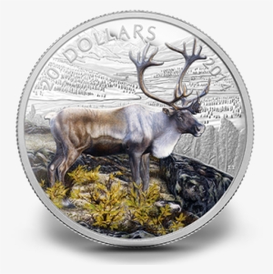 Fine Silver Coin - Coins Of Canada [book]