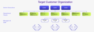 The Universal Product Management - Product Manager In Organizational Chart