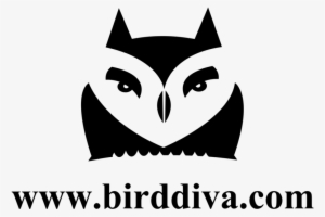 Www - Birddiva - Com-logo Format=1000w