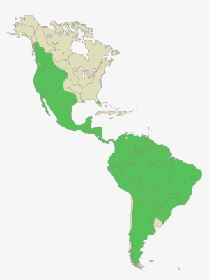 Puma Range - Latin America Map Silhouette