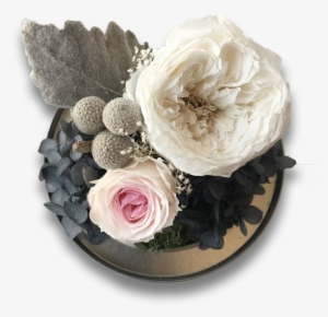 Welcome To Kruse Preserved Flowers - Garden Roses