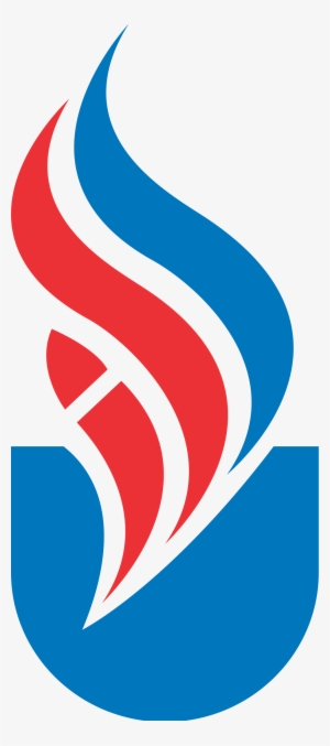 Swarnim Startup & Innovation University Logo