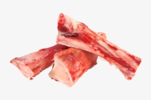 Fresh Beef Marrow Bones - Fresh Beef Bone