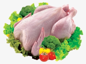 6 Broiler - Whole Dressed Chicken