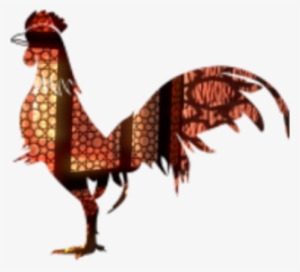 Rooster Chicken Poultry Fowl Phasianidae - Chicken